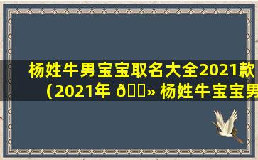 杨姓牛男宝宝取名大全2021款（2021年 🌻 杨姓牛宝宝男孩取什么名字好）